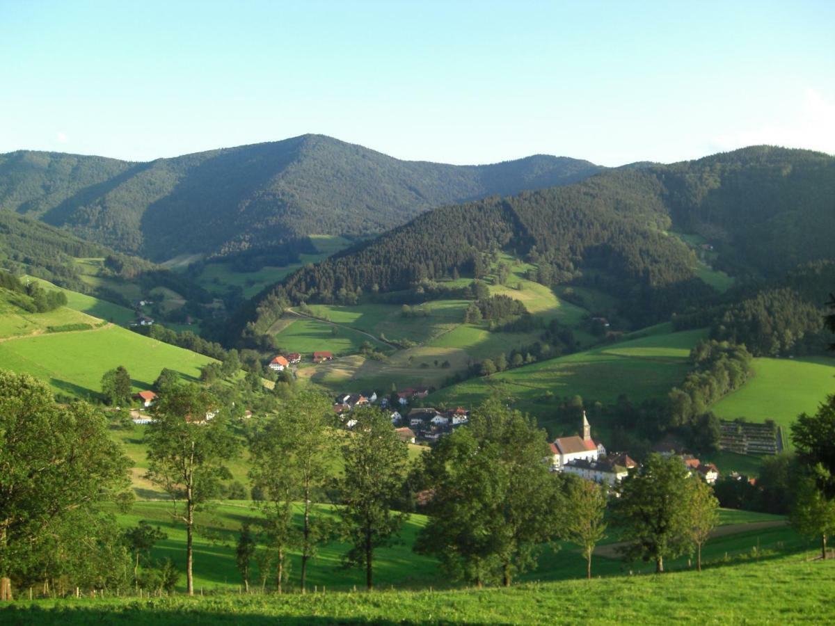 Weitblick "Entspannen - Wohlfuehlen - Aktiv Erholen" Elzach Exterior photo